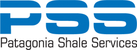 patagonia shale sels